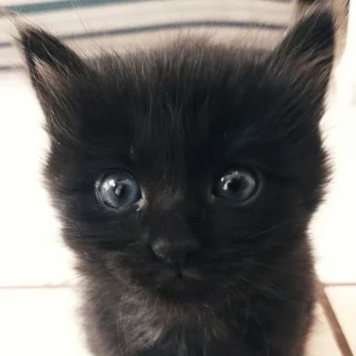 Gabriel